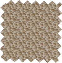 HITCH_STARFISH_HIT-8965